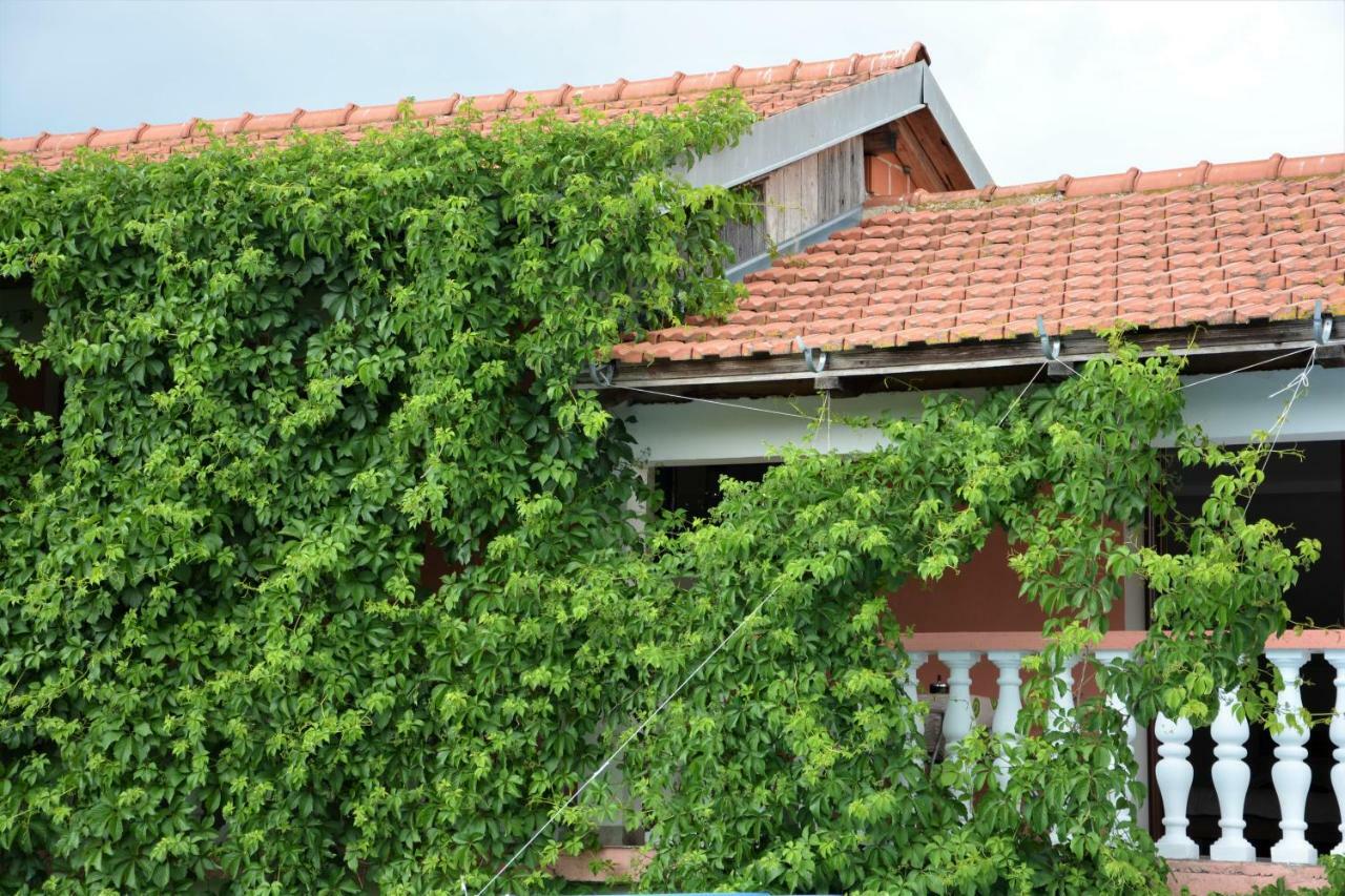 Apartmani Maca Sikovo Exterior foto
