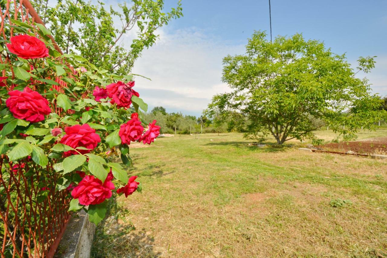 Apartmani Maca Sikovo Exterior foto